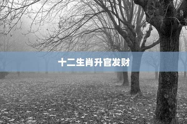 十二生肖升官发财