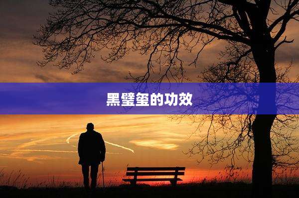黑璧玺的功效
