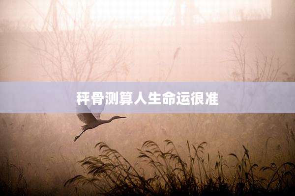 秤骨测算人生命运很准