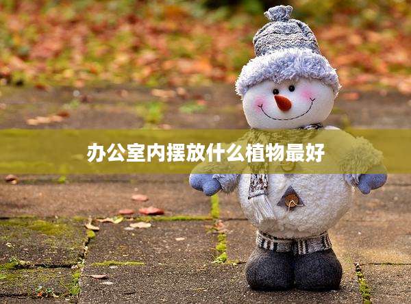 办公室内摆放什么植物最好