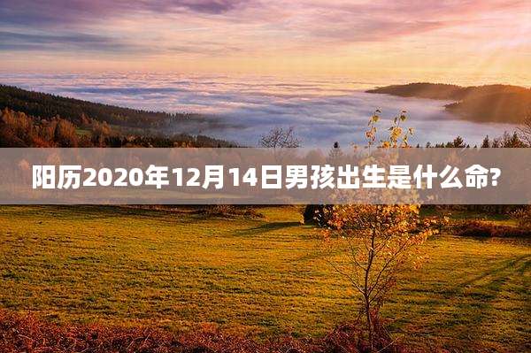 阳历2020年12月14日男孩出生是什么命?