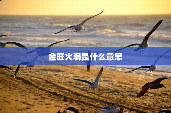 金旺火弱是什么意思