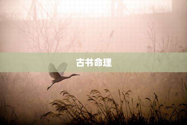 古书命理