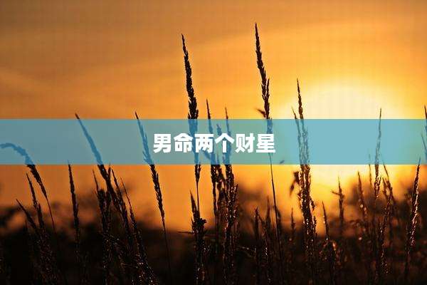 男命两个财星