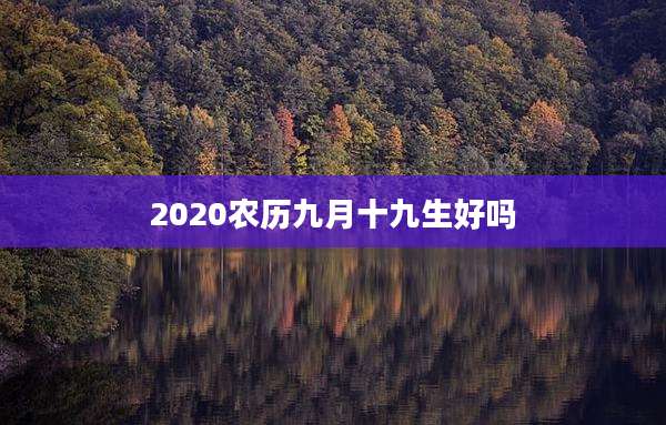 2020农历九月十九生好吗