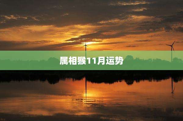 属相猴11月运势