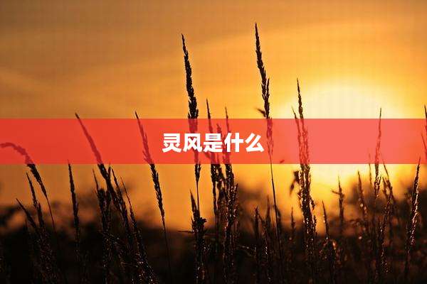 灵风是什么