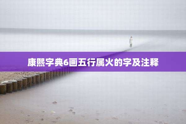 康熙字典6画五行属火的字及注释