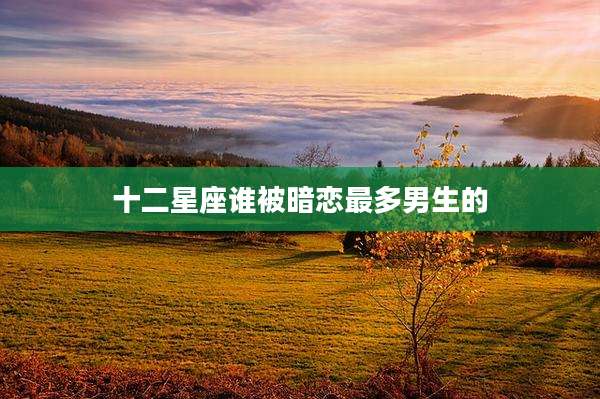 十二星座谁被暗恋最多男生的