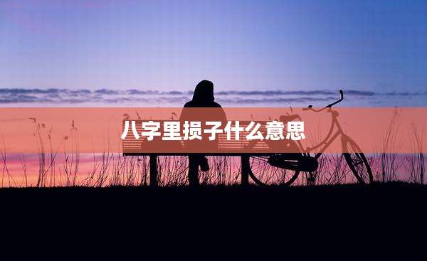 八字里损子什么意思