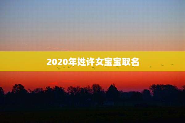 2020年姓许女宝宝取名
