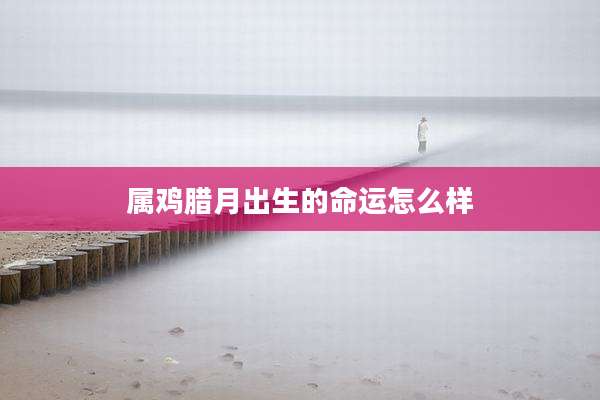 属鸡腊月出生的命运怎么样