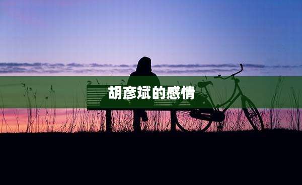 胡彦斌的感情