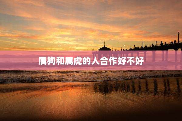 属狗和属虎的人合作好不好