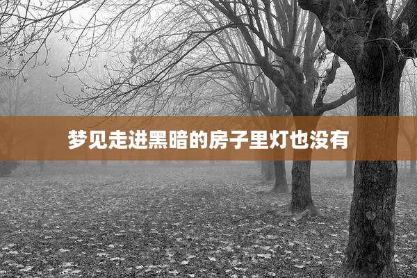 梦见走进黑暗的房子里灯也没有