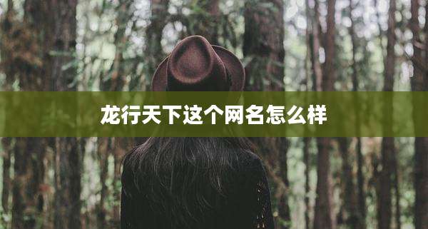 龙行天下这个网名怎么样