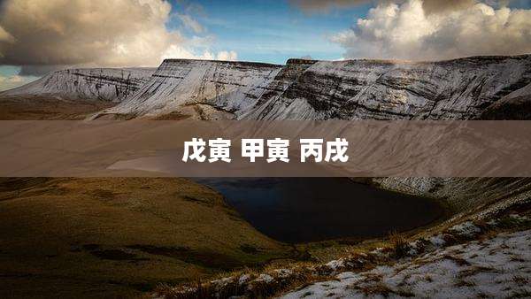 戊寅 甲寅 丙戌