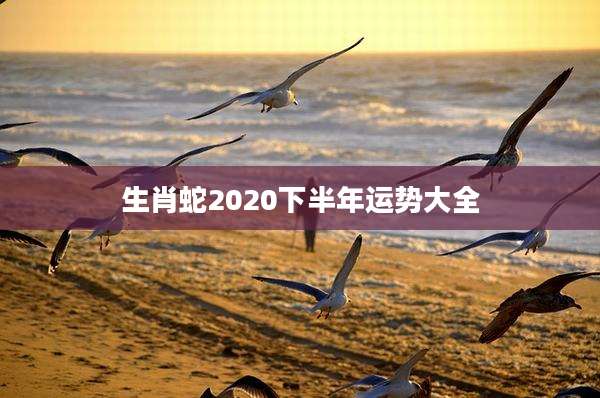 生肖蛇2020下半年运势大全