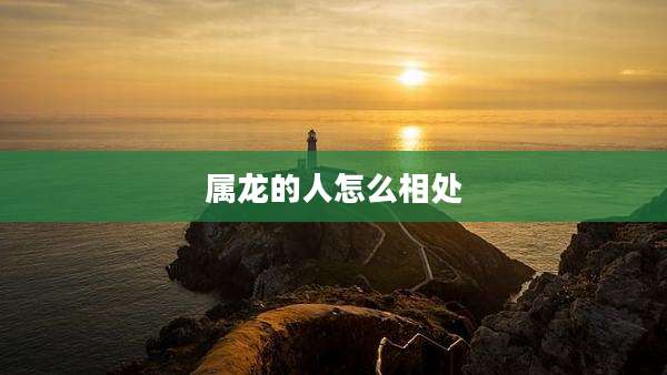 属龙的人怎么相处