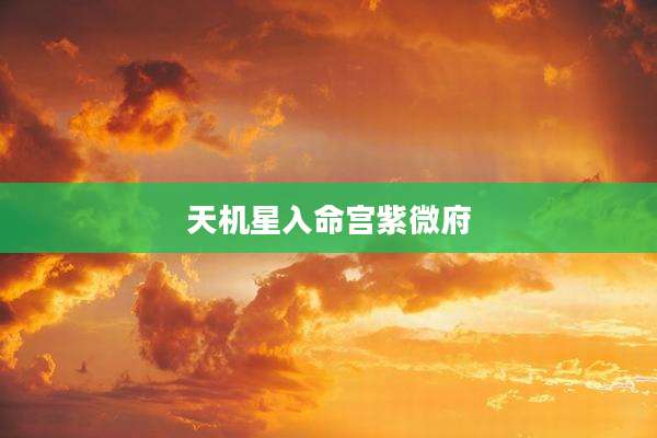 天机星入命宫紫微府
