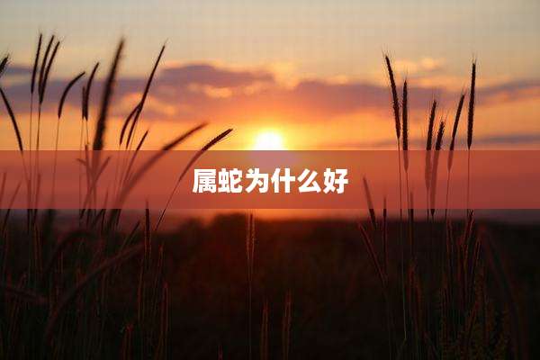 属蛇为什么好