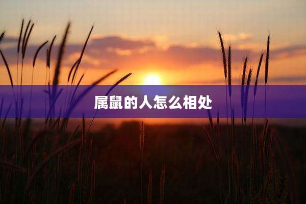 属鼠的人怎么相处
