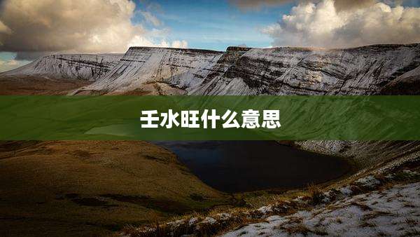壬水旺什么意思