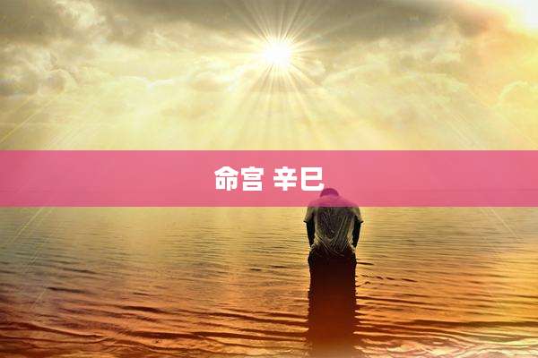 命宫 辛巳