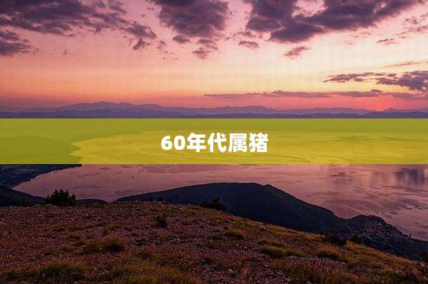 60年代属猪