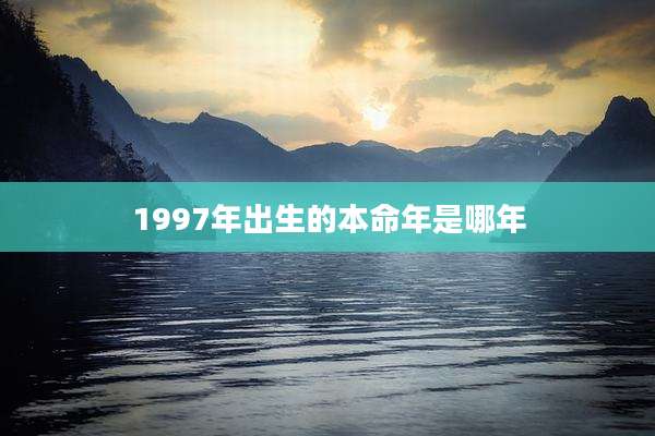 1997年出生的本命年是哪年
