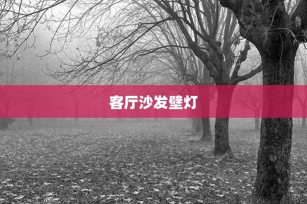 客厅沙发壁灯