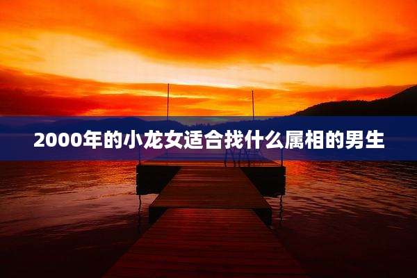 2000年的小龙女适合找什么属相的男生