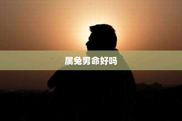 属兔男命好吗