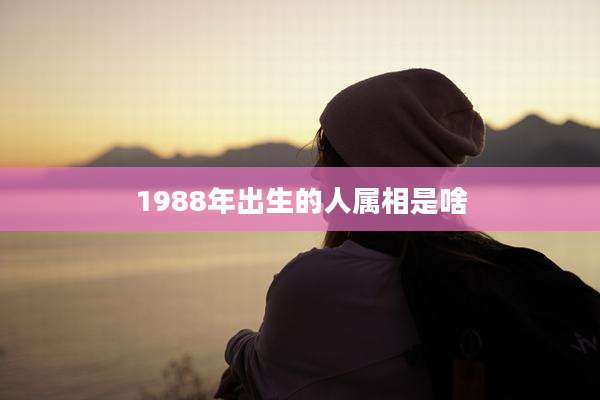 1988年出生的人属相是啥