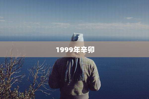 1999年辛卯