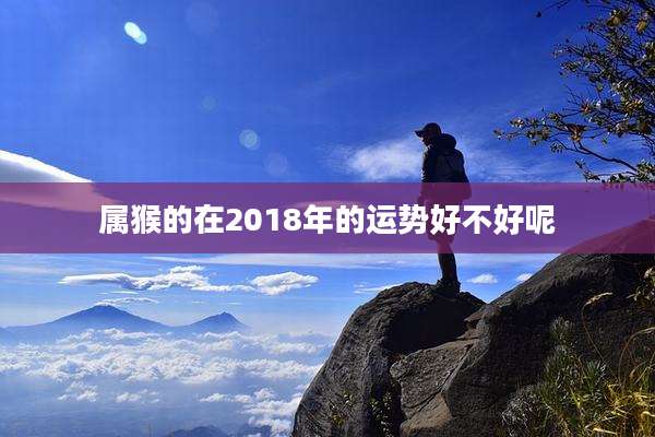 属猴的在2018年的运势好不好呢
