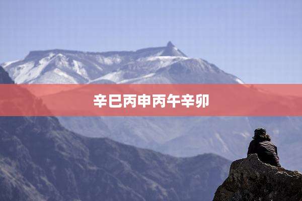 辛巳丙申丙午辛卯