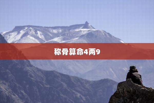 称骨算命4两9