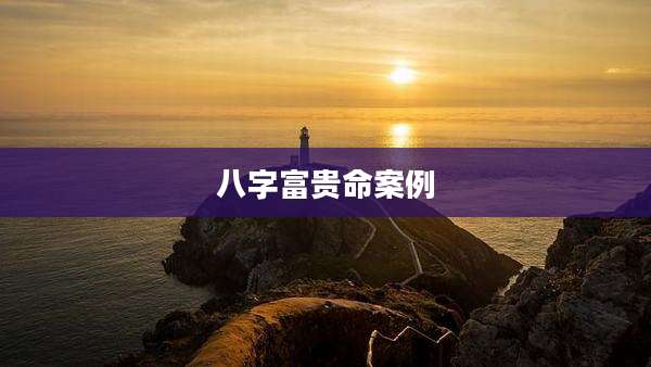 八字富贵命案例