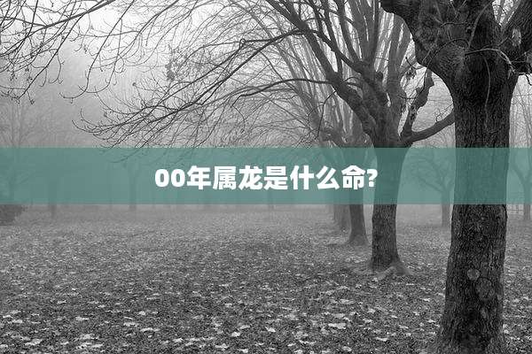 00年属龙是什么命?