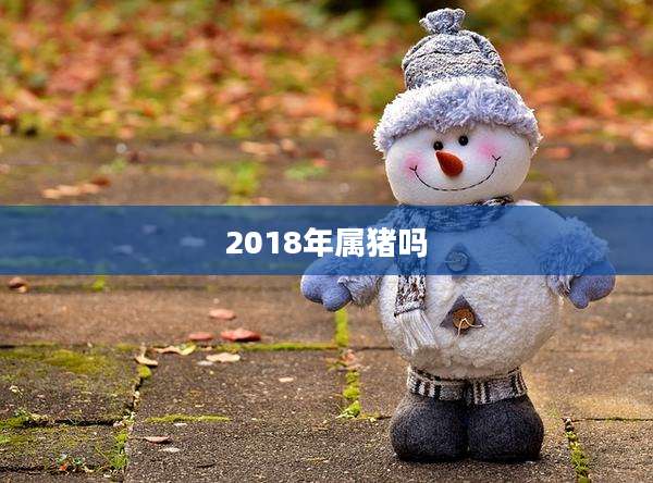2018年属猪吗
