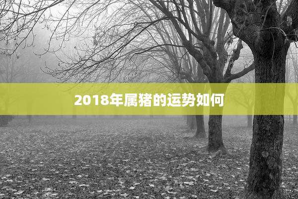 2018年属猪的运势如何