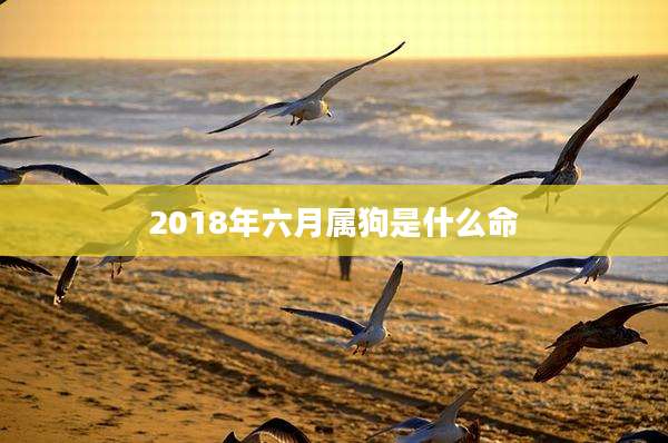 2018年六月属狗是什么命