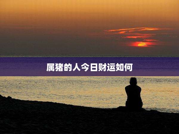 属猪的人今日财运如何