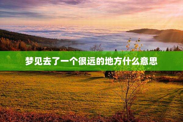 梦见去了一个很远的地方什么意思