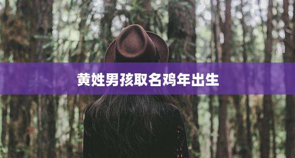 黄姓男孩取名鸡年出生