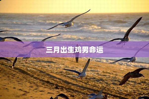 三月出生鸡男命运