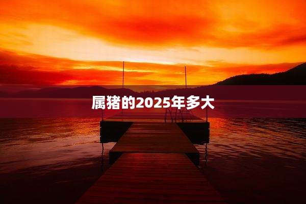 属猪的2025年多大
