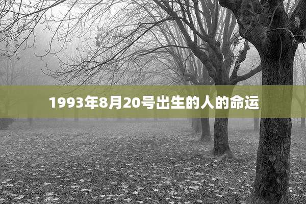 1993年8月20号出生的人的命运