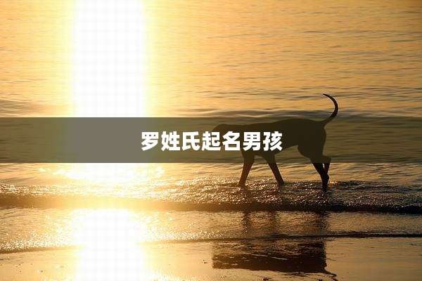 罗姓氏起名男孩